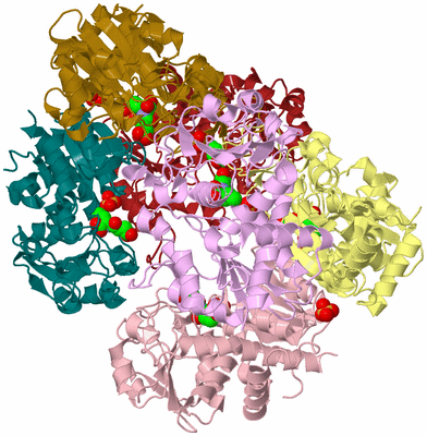 Image Biological Unit 3