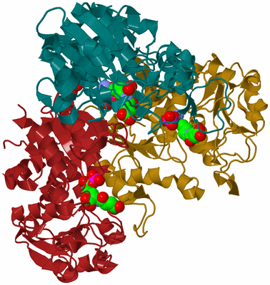 Image Biological Unit 1