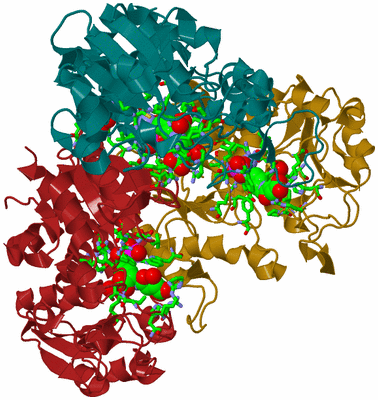 Image Biol. Unit 1 - sites