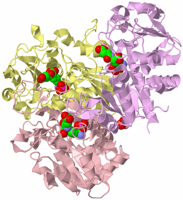 Image Biological Unit 2