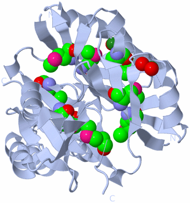 Image Biol. Unit 1 - sites