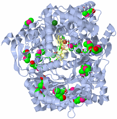 Image Biol. Unit 1 - sites