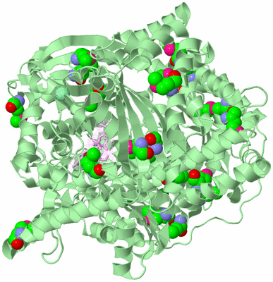 Image Biological Unit 2