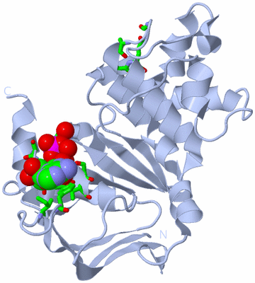 Image Biol. Unit 1 - sites