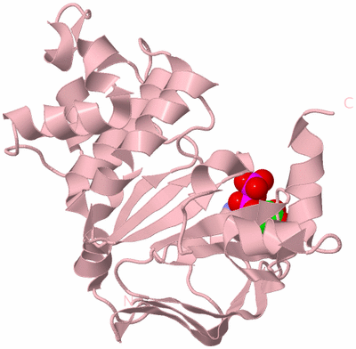 Image Biological Unit 3