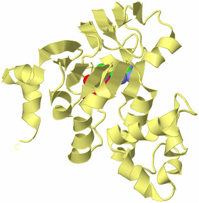 Image Biological Unit 4