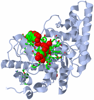 Image Biol. Unit 1 - sites