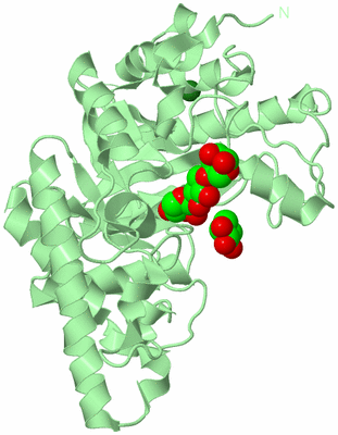 Image Biological Unit 2