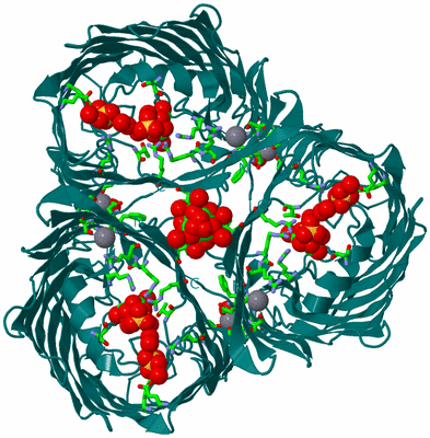 Image Biol. Unit 1 - sites