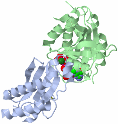 Image Biological Unit 1