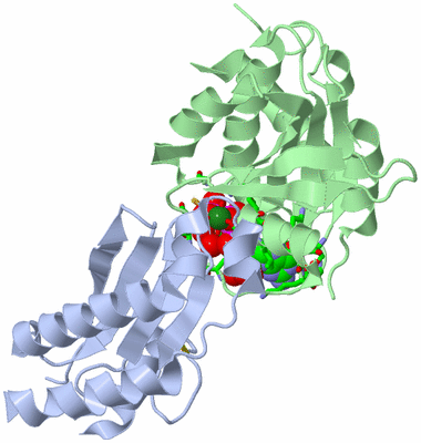 Image Biol. Unit 1 - sites