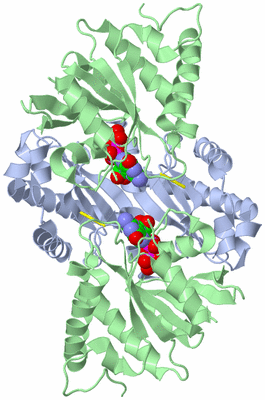 Image Biological Unit 3