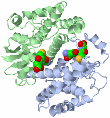 Image Asym./Biol. Unit