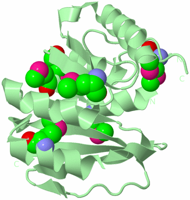 Image Biological Unit 2