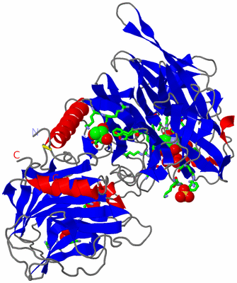 Image Asym./Biol. Unit - sites