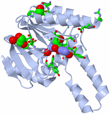 Image Biol. Unit 1 - sites