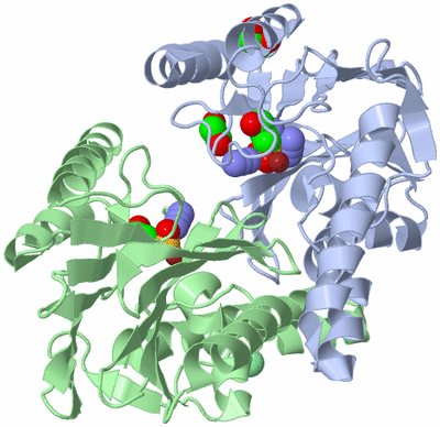 Image Biological Unit 3