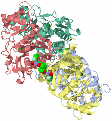 Image Asym./Biol. Unit