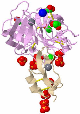 Image Biological Unit 1