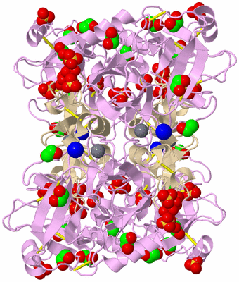 Image Biological Unit 2