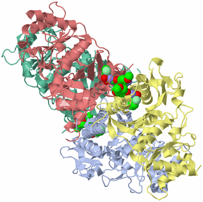 Image Asym./Biol. Unit