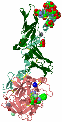 Image Asym./Biol. Unit