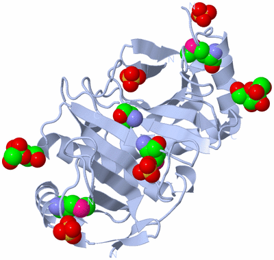 Image Biological Unit 1