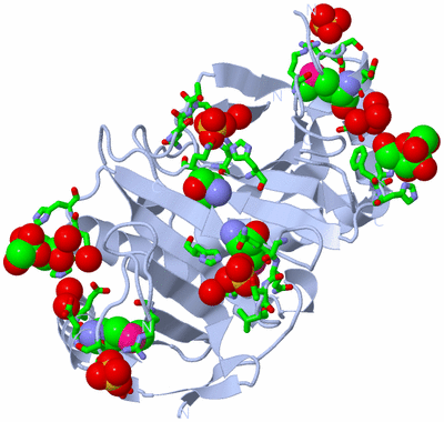 Image Biol. Unit 1 - sites