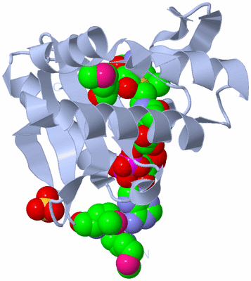 Image Biological Unit 1