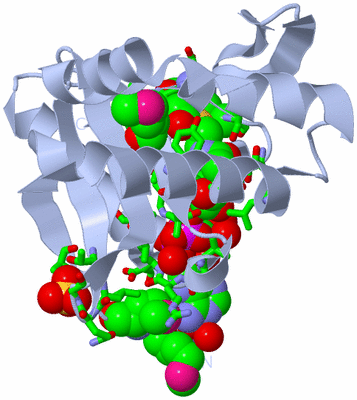 Image Biol. Unit 1 - sites