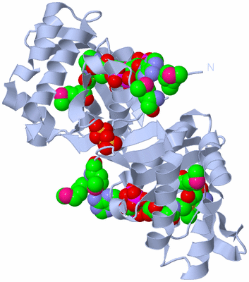 Image Biological Unit 2