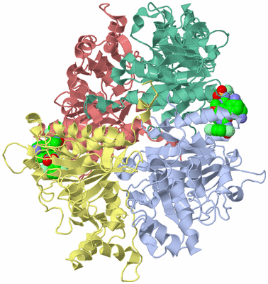 Image Asym./Biol. Unit