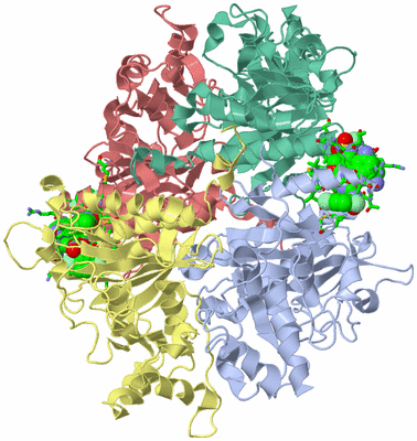 Image Asym./Biol. Unit - sites