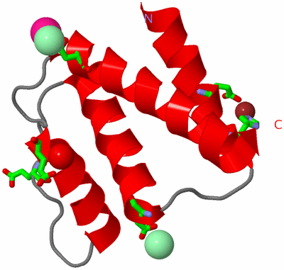 Image Asym. Unit - sites