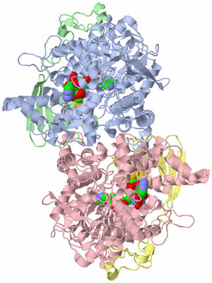 Image Asym./Biol. Unit