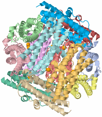 Image Biological Unit 1