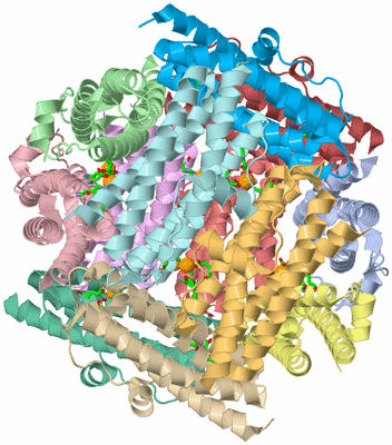 Image Biol. Unit 1 - sites