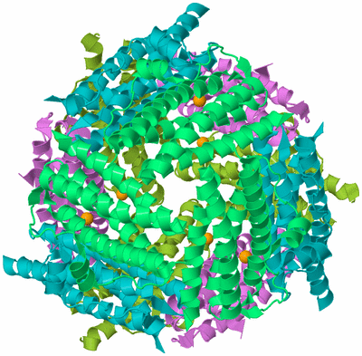 Image Biological Unit 2