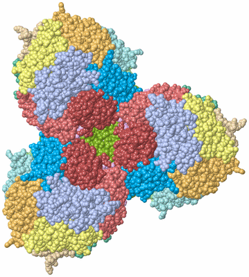 Image Biological Unit 3