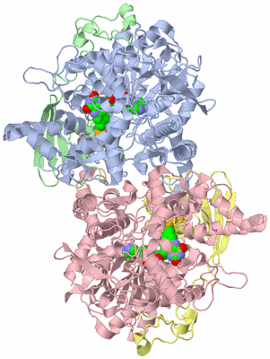 Image Asym./Biol. Unit