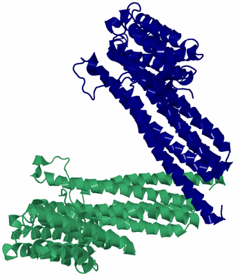 Image Asymmetric Unit