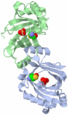 Image Asym./Biol. Unit