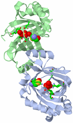 Image Asym./Biol. Unit - sites