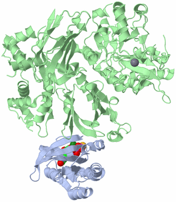 Image Asym./Biol. Unit