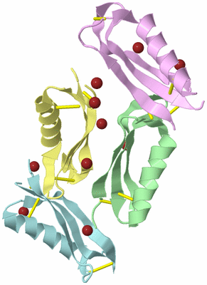 Image Biological Unit 12