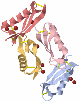 Image Biological Unit 13