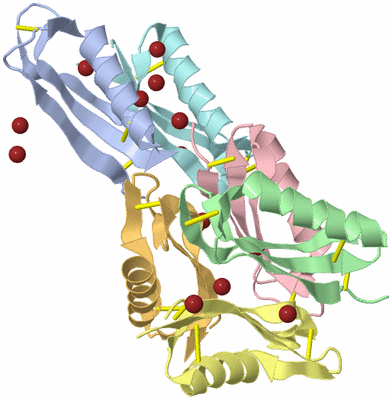 Image Biological Unit 14