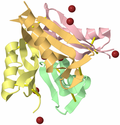 Image Biological Unit 16