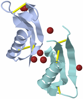 Image Biological Unit 17