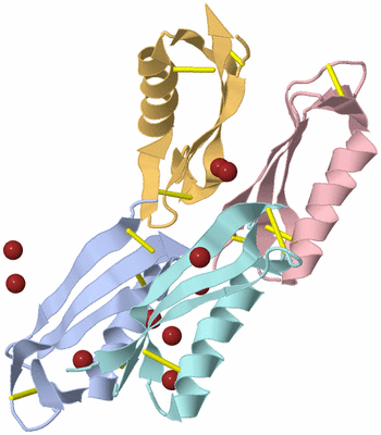 Image Biological Unit 18